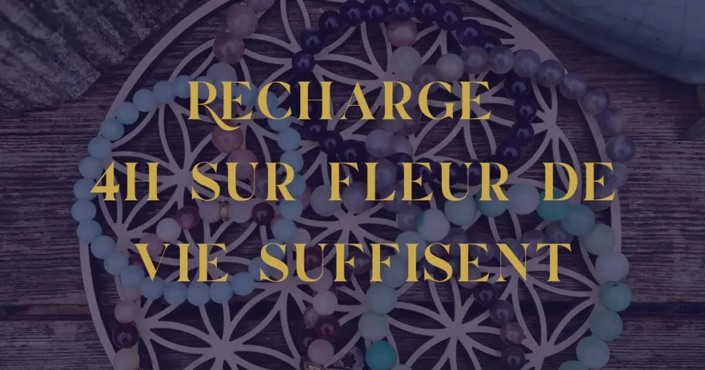 recharge pierres naturelles fleur de vie sélénite